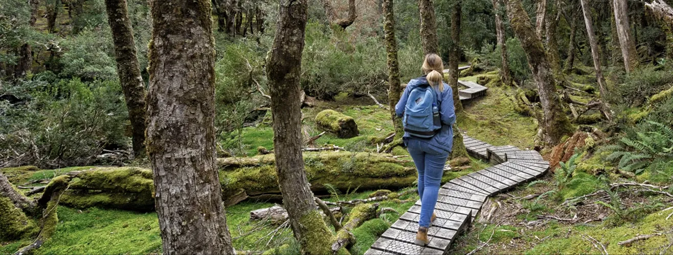 首页轮播1_1316_500